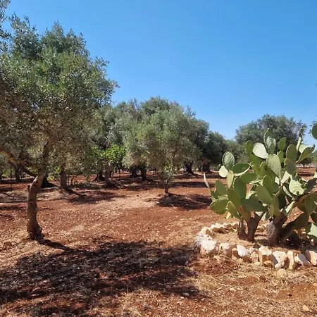 Trullo Terra Di Alix *